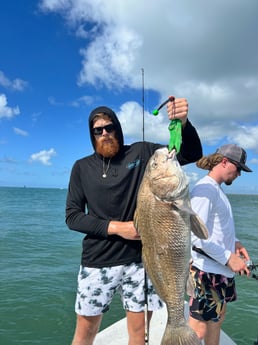 Black Drum fishing in Port O&#039;Connor, Texas