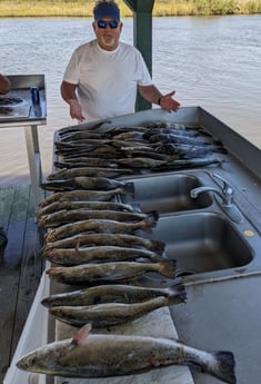 Speckled Trout / Spotted Seatrout fishing in Sulphur, Louisiana