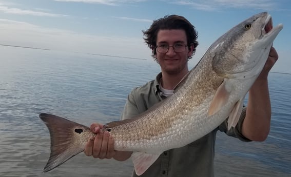 Redfish fishing in Sulphur, Louisiana