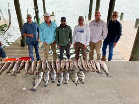 Black Drum, Redfish, Sheepshead Fishing in Port O&#039;Connor, Texas