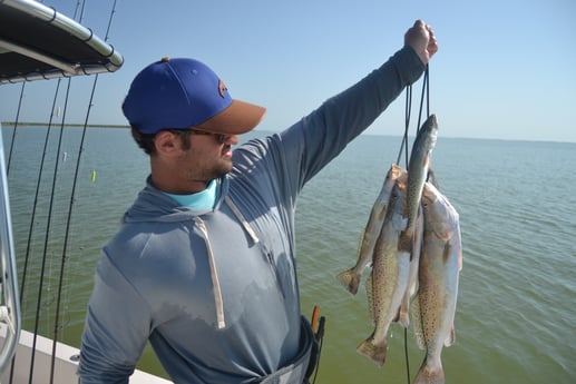 Speckled Trout / Spotted Seatrout fishing in Corpus Christi, Texas