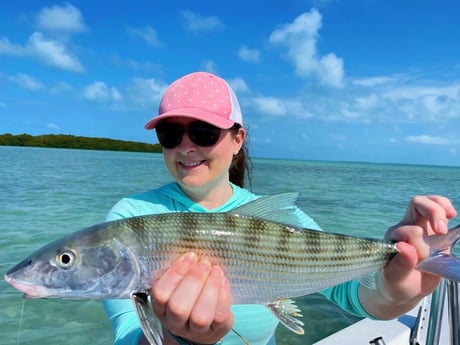 Speckled Trout / Spotted Seatrout fishing in Tavernier, Florida