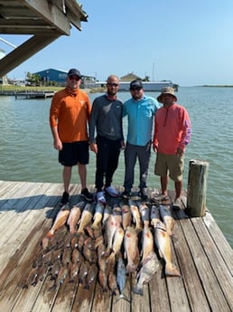 Black Drum, King Mackerel / Kingfish, Mangrove Snapper, Redfish fishing in Port O&#039;Connor, Texas