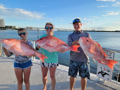 Red Snapper fishing in Clearwater, Florida