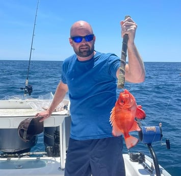 Rockfish Fishing in Santa Rosa Beach, Florida