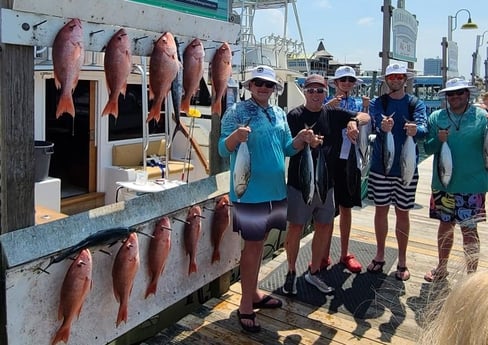 False Albacore, Red Snapper Fishing in Destin, Florida