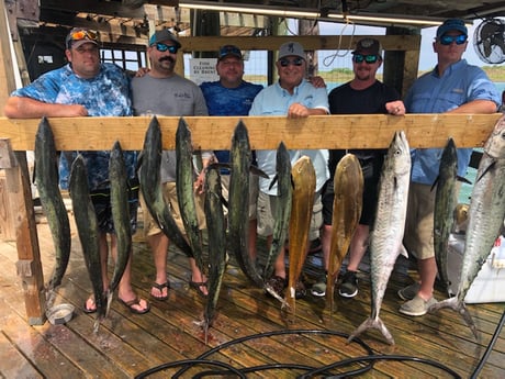 King Mackerel / Kingfish, Redfish fishing in Port O&#039;Connor, Texas