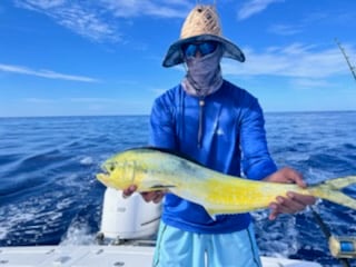 Albacore Tuna fishing in Fort Lauderdale, Florida