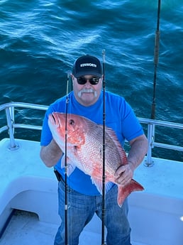 Red Snapper Fishing in Orange Beach, Alabama