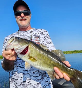 Largemouth Bass Fishing in Fort Lauderdale, Florida