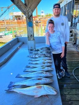 Black Drum, Redfish Fishing in Galveston, Texas