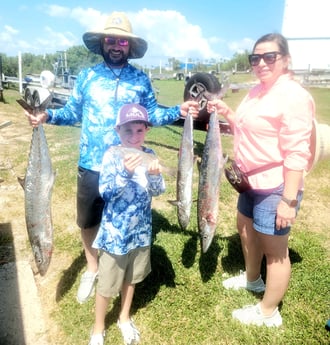 King Mackerel / Kingfish fishing in South Padre Island, Texas