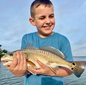 Redfish Fishing in Sarasota, Florida