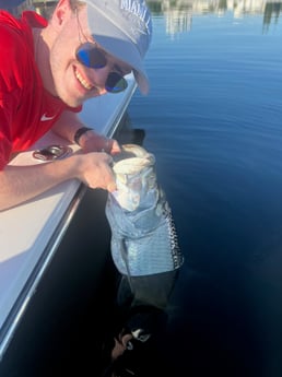 Tarpon Fishing in Miami Beach, Florida