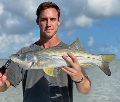 Snook Fishing in Key Largo, Florida