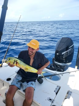 Mahi Mahi Fishing in Key Largo, Florida