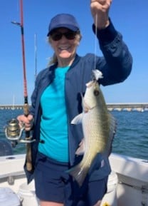 Mangrove Snapper Fishing in Marathon, Florida