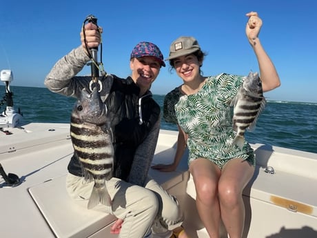 Speckled Trout / Spotted Seatrout fishing in Sarasota, Florida