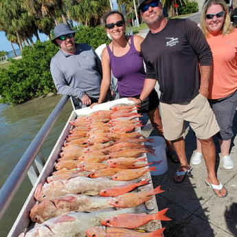 Lane Snapper, Red Grouper fishing in Clearwater, Florida