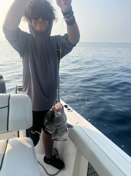 Amberjack Fishing in Mount Pleasant, South Carolina