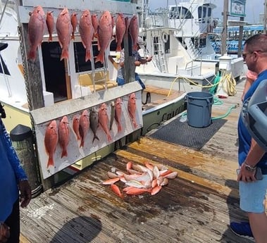 Red Snapper, Scup, Vermillion Snapper Fishing in Destin, Florida