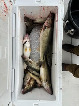 Fishing in Oak Harbor, Ohio