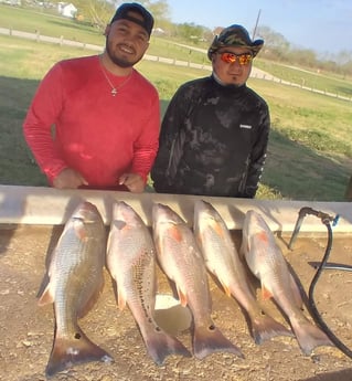 Redfish fishing in San Antonio, Texas