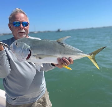 Jack Crevalle fishing in Sarasota, Florida