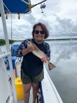 Redfish fishing in St. Petersburg, Florida