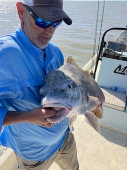 Black Drum fishing in Rockport, Texas