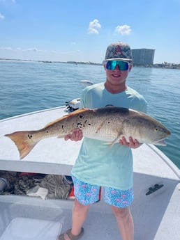 Fishing in Gulf Shores, Alabama