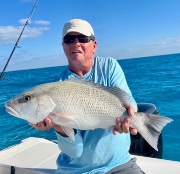 Mangrove Snapper Fishing in Marathon, Florida