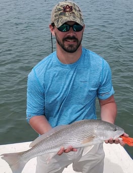 Redfish fishing in Beaufort, North Carolina