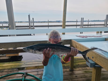 Spanish Mackerel fishing in Orange Beach, Alabama