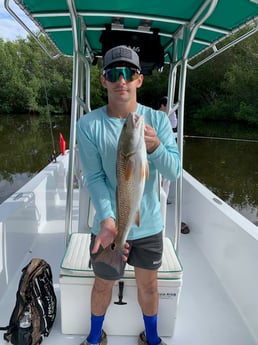 Redfish Fishing in Tampa, Florida