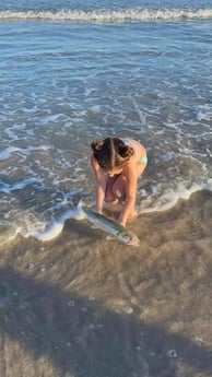 Ladyfish fishing in Corpus Christi, Texas