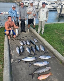 Amberjack, Blackfin Tuna, Rockfish Fishing in Freeport, Texas