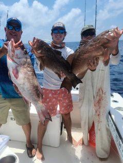 Red Grouper Fishing in Clearwater, Florida