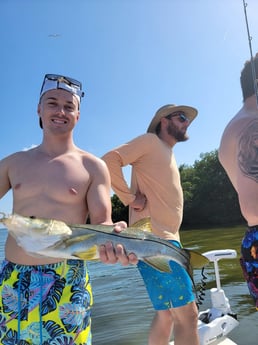 Snook Fishing in St. Petersburg, Florida