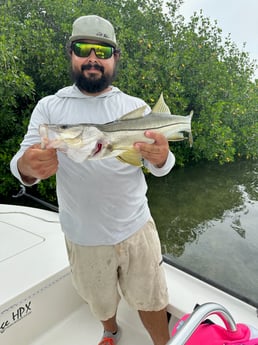 Snook Fishing in Islamorada, Florida