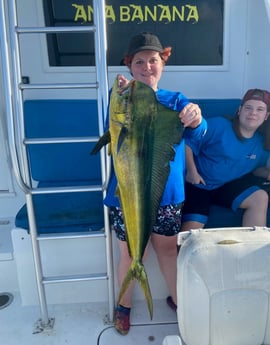 King Mackerel / Kingfish fishing in Marathon, Florida