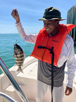 Sheepshead fishing in St. Petersburg, Florida