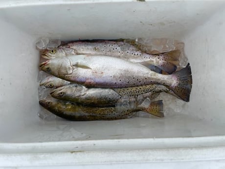 Fishing in Galveston, Texas