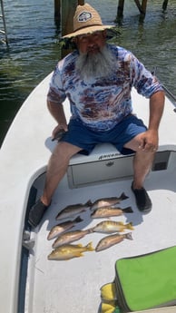 Barracuda fishing in Summerland Key, Florida