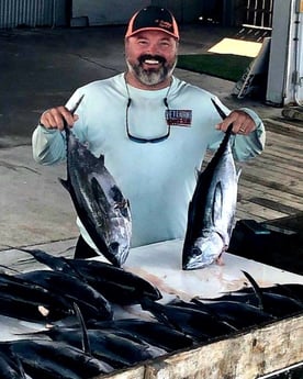 Blackfin Tuna fishing in Galveston, Texas