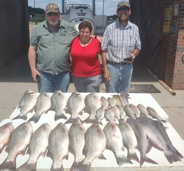 Blue Catfish, Hybrid Striped Bass Fishing in Runaway Bay, Texas