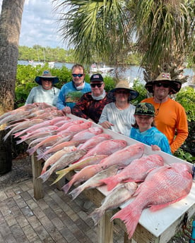 Red Grouper, Red Snapper fishing in Sarasota, Florida