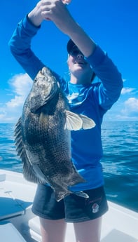 Tripletail fishing in St. Petersburg, Florida