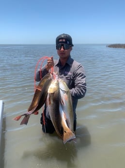 Redfish fishing in Port O&#039;connor, Texas