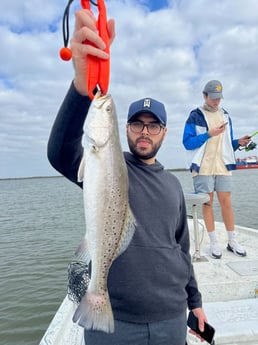 Speckled Trout Fishing in Galveston, Texas